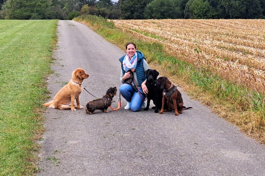 Eine Frau kniet auf einem Feldweg, vier Hunde an Leinen sitzen links und rechts neben ihr